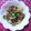 フレッシュトマトママ's cooksnap of when they made 牛肉とかぶの和風炒め.