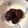 horseland's cooksnap of when they made 干しシイタケの含め煮.