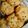 あきあんづ's cooksnap of when they made スヌーピーのチョコチップクッキー.