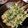 ぞう☆ぞう's cooksnap of when they made 揚げない【ししゃもフライ】♪.