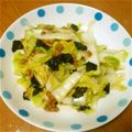 らら7's cooksnap of when they made 納豆・白菜サラダ.