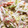 したーーん's cooksnap of when they made 白菜とツナのサクサク☆マヨサラダ.