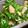 Rick_t's cooksnap of when they made 我が家のニラ玉☆くせになる☆.