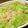 papikun's cooksnap of when they made キャベツとベーコンのパスタ★☆.