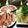りんとひなのおうち's cooksnap of when they made カニしゃぶ.