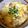 にほんやなぎ's cooksnap of when they made ランチ夜食に お麩のふわふわ卵とじ丼ぶり.