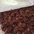 エマママ's cooksnap of when they made レンジでチョコレートシリアル.