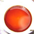 はるなつみや's cooksnap of when they made ゴディバでキャラメルソース♡大人味.