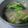 みやびうさぎ's cooksnap of when they made ☆☆シンプル☆☆　我が家の豚汁.