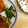 wolfee's cooksnap of when they made ♡楽旨♡たこぱくちー♡.