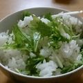 ゆずまさままち's cooksnap of when they made 絶品！水菜ご飯.
