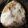 こたつねこくん's cooksnap of when they made 朝から幸せなチーズ昆布おにぎり☆.