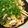 茜丸どらこ's cooksnap of when they made 【旭×椙】牛肉と自然薯の炒めもの.