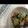 かおりんぱんだ's cooksnap of when they made 豚肉と青梗菜のねぎ塩炒め.