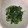 ひなちゃん2号's cooksnap of when they made 青ねぎで簡単中華和え物.