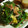 じんとっと's cooksnap of when they made ほうれん草と桜エビと卵のバター炒め♡.
