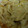 saki1010's cooksnap of when they made とまとのオイルグラタン✿.