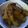 uotama's cooksnap of when they made ごぼうと牛肉の味噌煮.