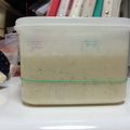 ccmikan's cooksnap of when they made 元種（中種）作り.