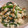 くまんぼう's cooksnap of when they made 春菊の簡単白和え.