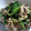 ななさくちゃん's cooksnap of when they made ★簡単！肉野菜炒め★.