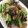 ポメちょん's cooksnap of when they made 豚肉と小松菜の中華炒め.