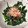 料理の女神's cooksnap of when they made 子供にも人気のほうれん草のお浸し♪.