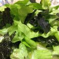 カメ姫☆'s cooksnap of when they made ちぎるだけ☆レタスと海苔の中華サラダ.