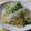 あっこりんママ's cooksnap of when they made ♪クラゲと大根のあっさり中華サラダ♫♬.