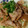 tama2012's cooksnap of when they made 豚のみそだれ生姜焼き.