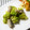 Satoco❋'s cooksnap of when they made 簡単❁ロマネスコと塩イワシのマリネ❁.