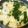 りんご華☆1219's cooksnap of when they made 簡単！ニラと卵のピリ辛中華スープ.