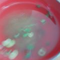 ゆのほなッチ★'s cooksnap of when they made 簡単！即席！　さっぱり お吸い物.