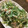 ゆうきちpazl's cooksnap of when they made 水菜とツナの簡単白和え.