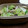にやころ's cooksnap of when they made 簡単すぐでき☆きのこの和風パスタ.