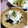ＴＯＭＯＷＡＴ's cooksnap of when they made ☆わかめとしらすの酢の物★.