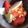 シェメ's cooksnap of when they made 中華風かぶとトマトのサラダ.