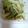 クックZ69KDS☆'s cooksnap of when they made ブロッコリー茎で♪ゴマかつお和え.