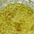 イノベータ's cooksnap of when they made 簡単おつまみ☆もやしの酢の物カレー中華風.