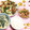みるくちゃん♡'s cooksnap of when they made もやしの中華風和え物.