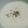 うさぴょんレシピ's cooksnap of when they made カリフラワーのポタージュ.