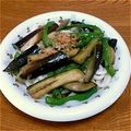 msft5632's cooksnap of when they made ナス＆ピーマンの焼きびたしぶっかけうどん.