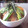 ふみネコ's cooksnap of when they made 簡単　アボガドまぐろ丼.