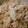 55_ひぃ_55's cooksnap of when they made ほたての炊き込みご飯.