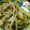 あくびっちび's cooksnap of when they made ♡◎生姜焼き味？豚ともやしのとろみ炒め.