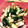 レオディカ's cooksnap of when they made 長芋とほうれん草のゴマ和え.