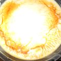 えりちんパパ's cooksnap of when they made 大っきいプリン♪.