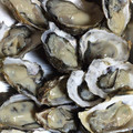 しみずみさと's cooksnap of when they made 冬季限定★殻つき牡蠣の剥き方と食し方二種.
