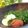 kk-maru's cooksnap of when they made シンプル☆即席☆菜の花　栄養たっぷり.