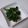 もりもりきのこ's cooksnap of when they made ほうれん草のナムル.